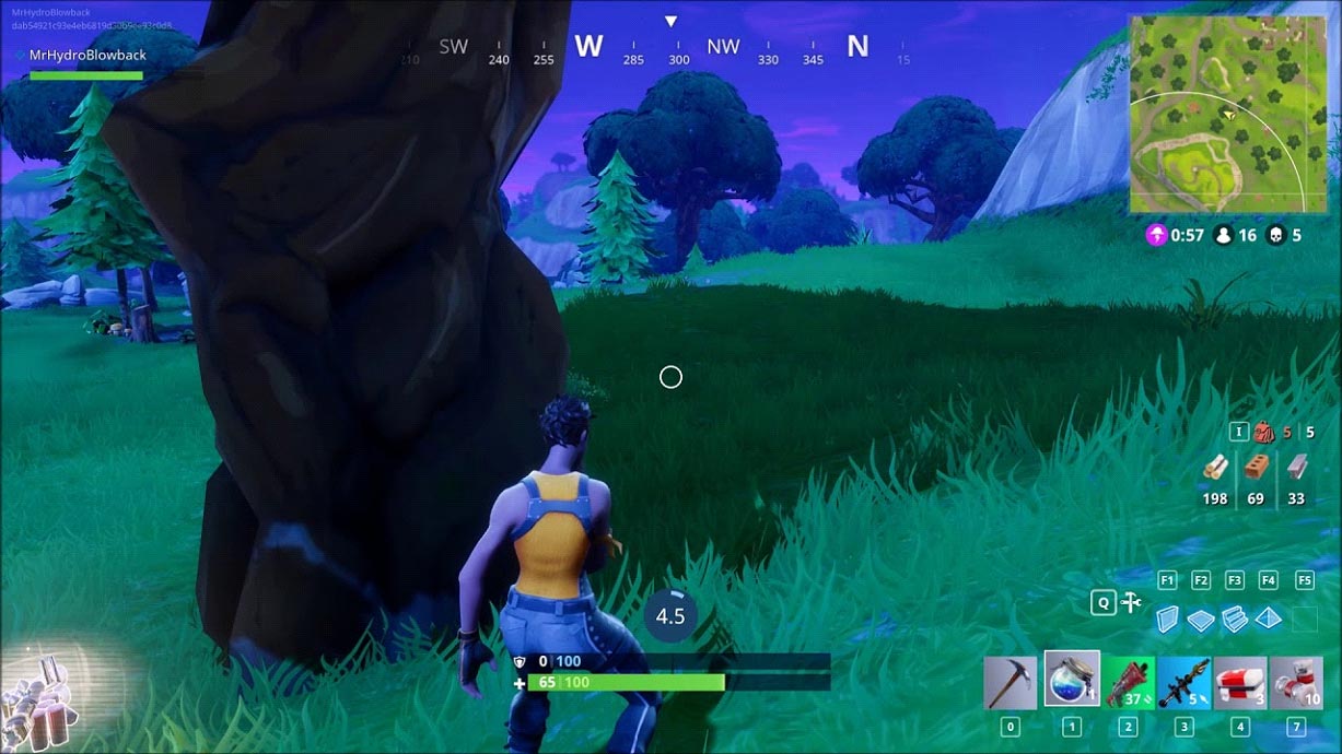 Fortnite Battle Royale hiding behind trees