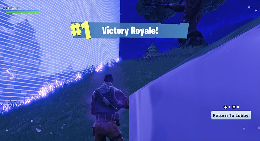 Fortnite Victory Royale