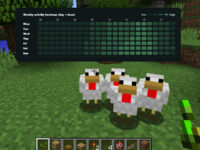 Minecraft Peak Hours by Country - Best Times to Play