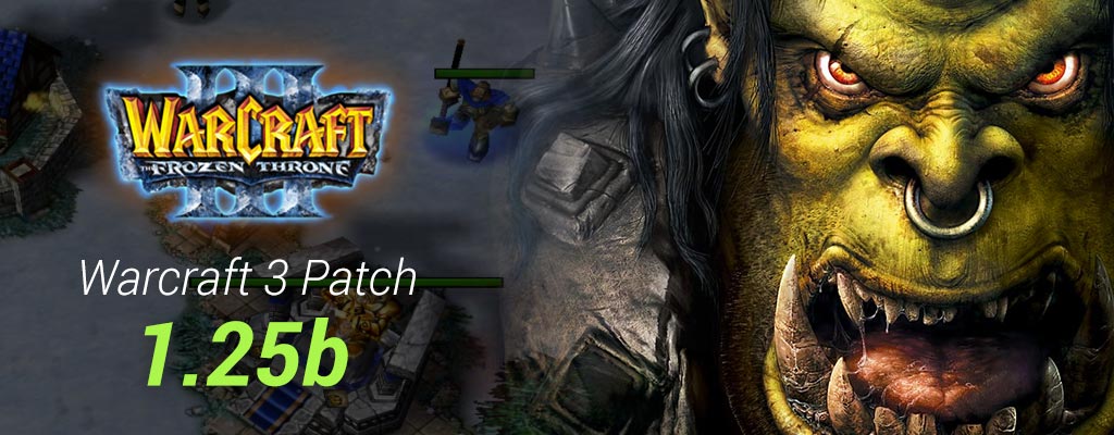 Warcraft 3 Patch 1.25b