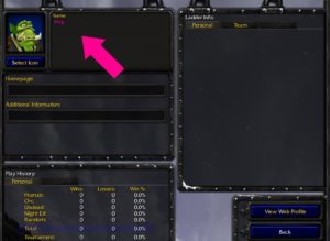 Warcraft 3 Profile Name