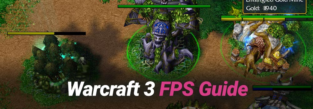 Warcraft 3 FPS Guide
