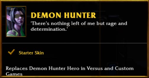 Female Demon Hunter Skin Info