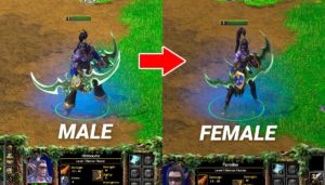 Warcraft 3 Reforged Male vs Female Demonhunter Skin